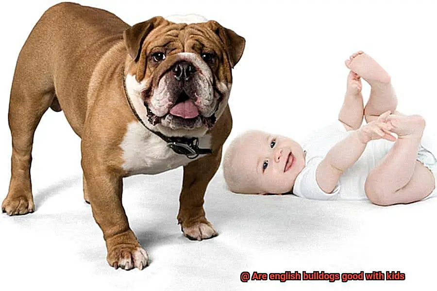 Are english bulldogs good with kids-6