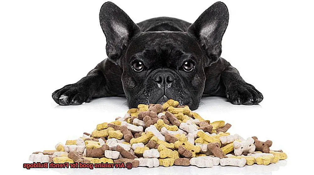 Are raisins good for French Bulldogs-4
