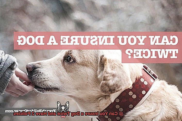 Can You Insure a Dog Twice and Have 2 Policies-6
