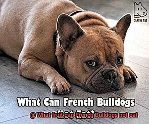 What fruit can French Bulldogs not eat-3