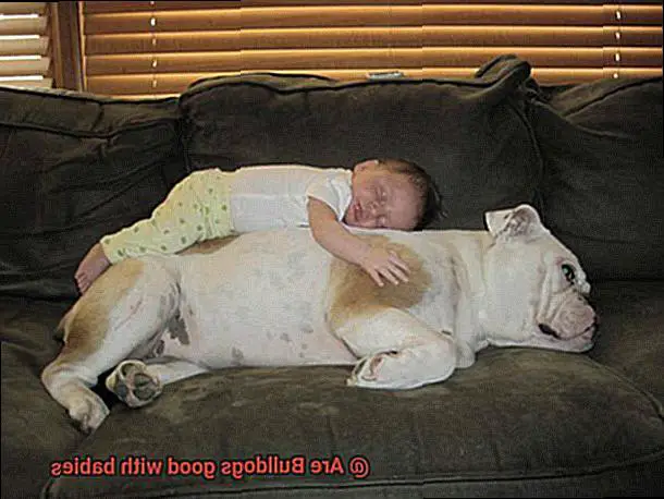 Are Bulldogs good with babies-3