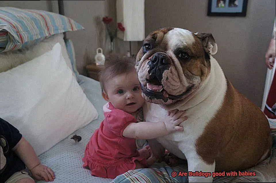 Are Bulldogs good with babies-6