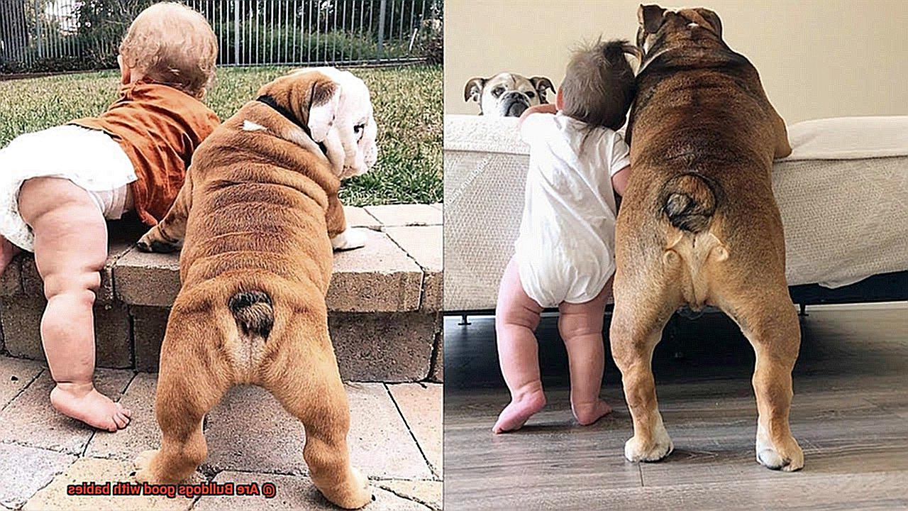 Are Bulldogs good with babies-5