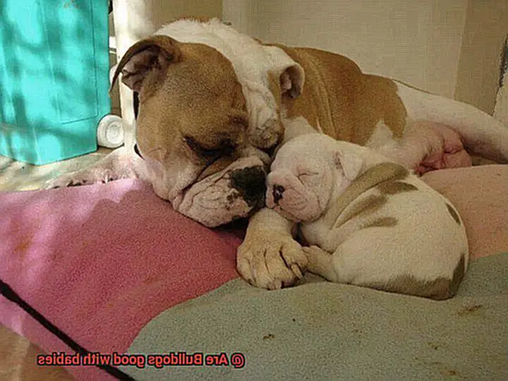 Are Bulldogs good with babies-2