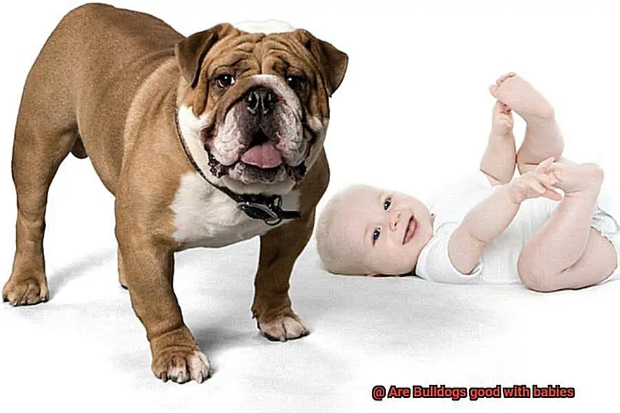 Are Bulldogs good with babies-7