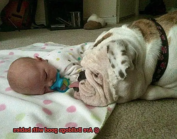 Are Bulldogs good with babies-4