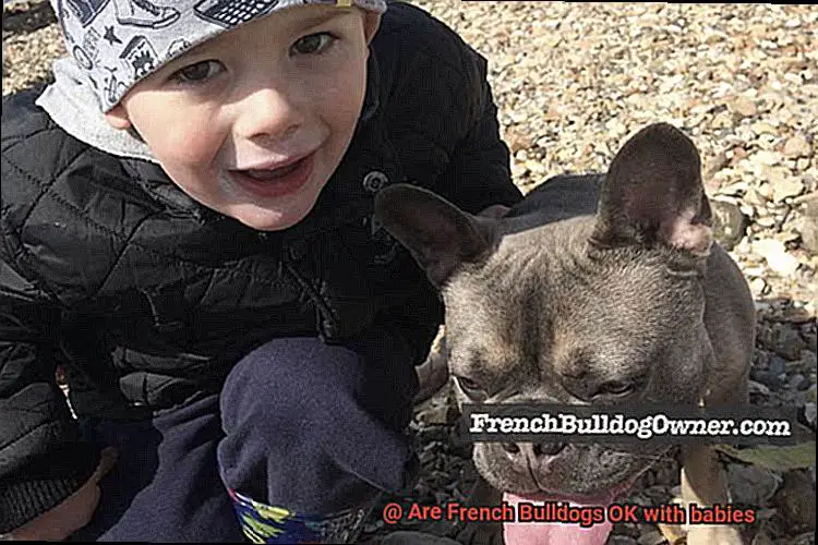 Are French Bulldogs OK with babies-11