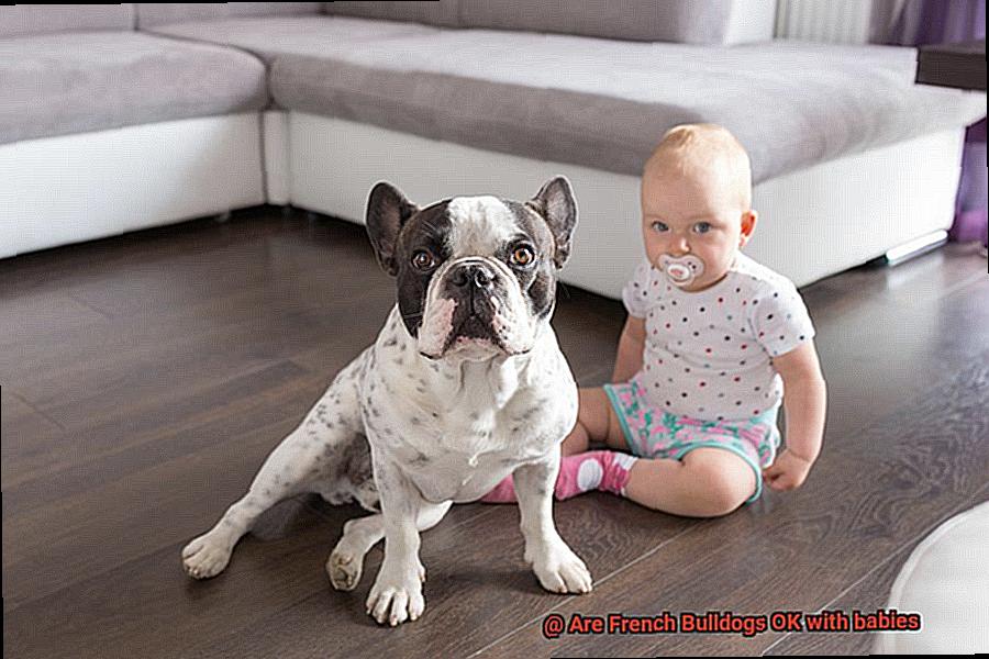 Are French Bulldogs OK with babies-9