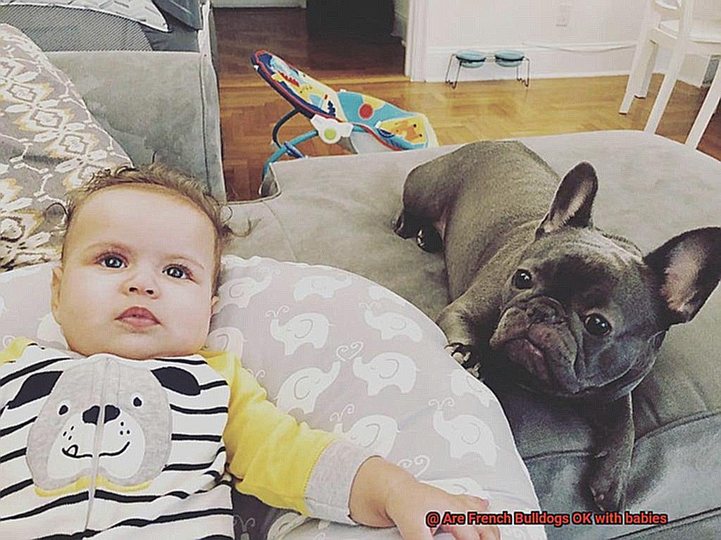 Are French Bulldogs OK with babies-3