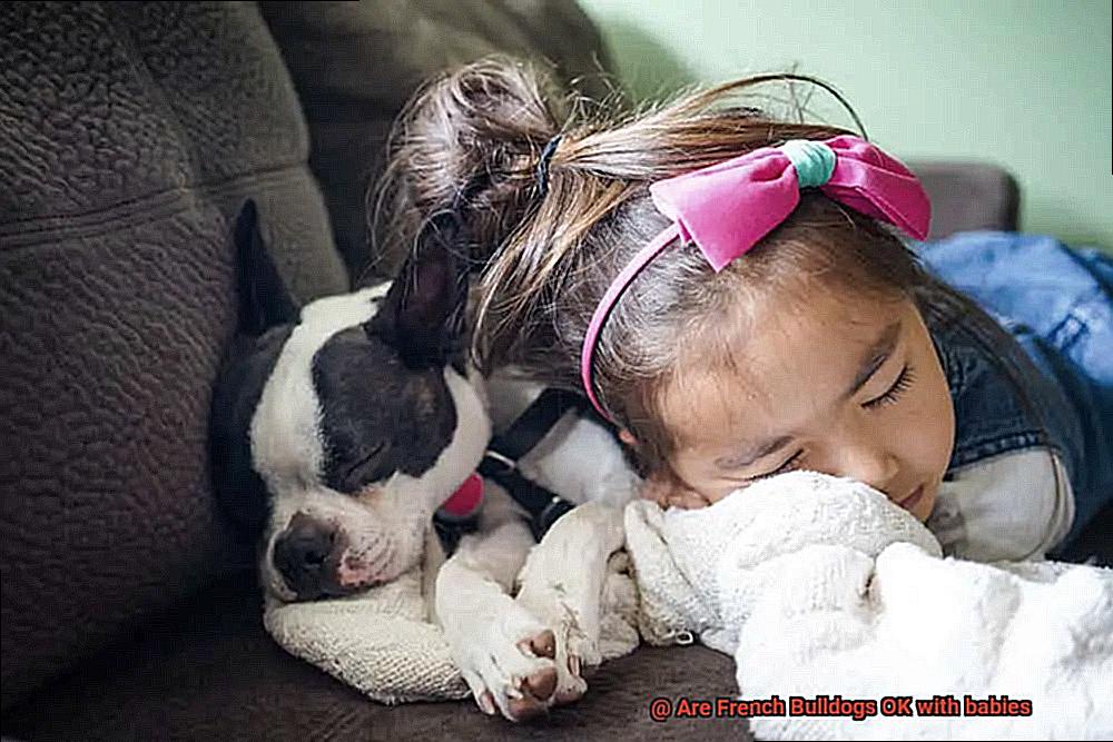 Are French Bulldogs OK with babies-8