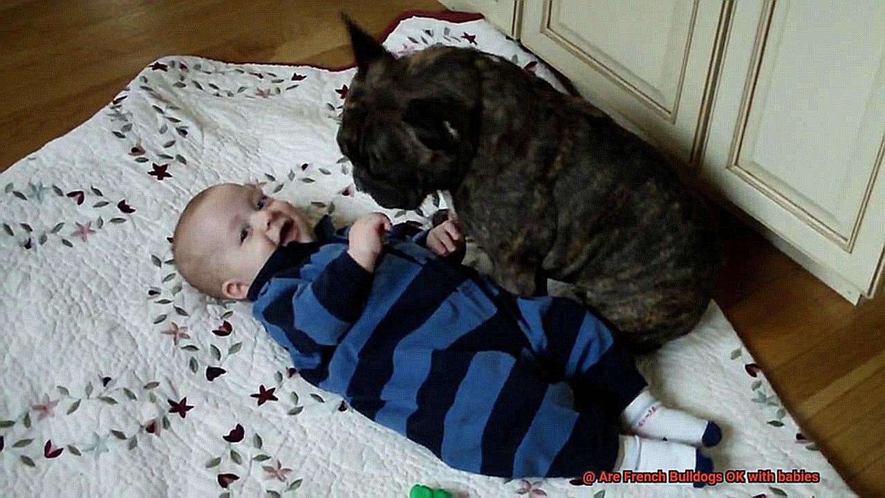 Are French Bulldogs OK with babies-4