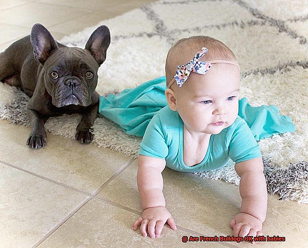 Are French Bulldogs OK with babies-2