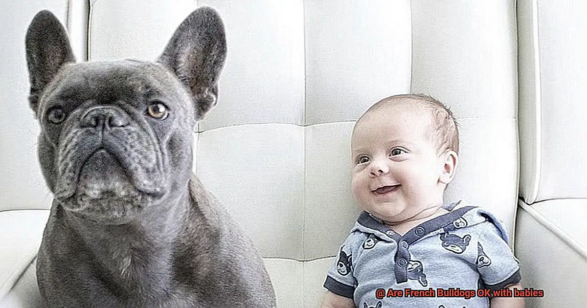 Are French Bulldogs OK with babies-12