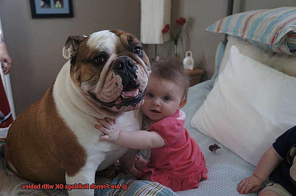 Are French Bulldogs OK with babies-10