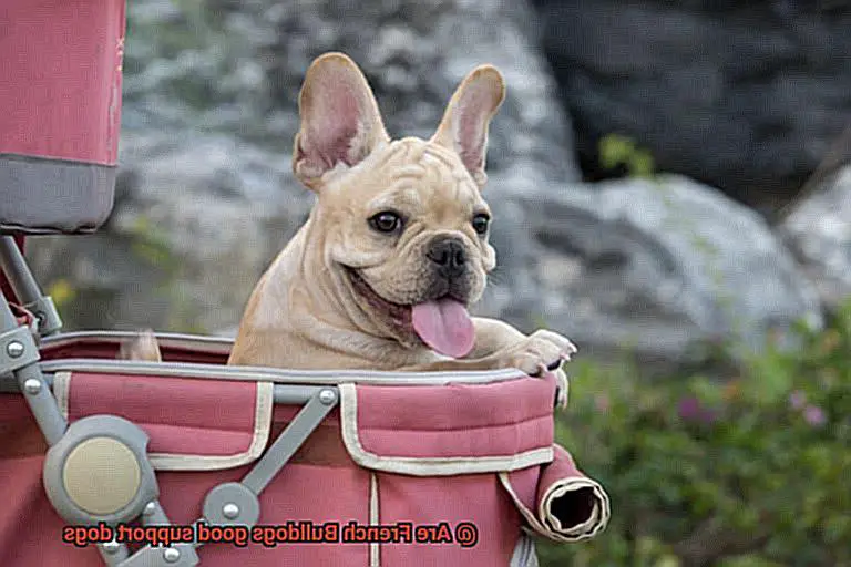 Are French Bulldogs good support dogs-10
