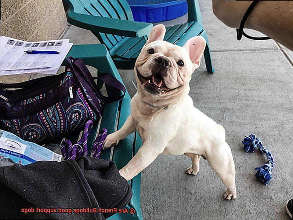 Are French Bulldogs good support dogs-9