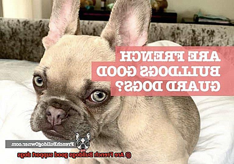 Are French Bulldogs good support dogs-2