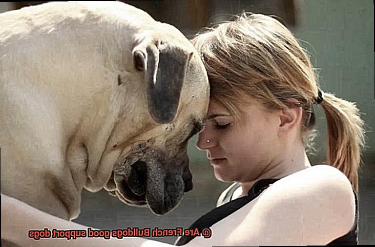 Are French Bulldogs good support dogs-5