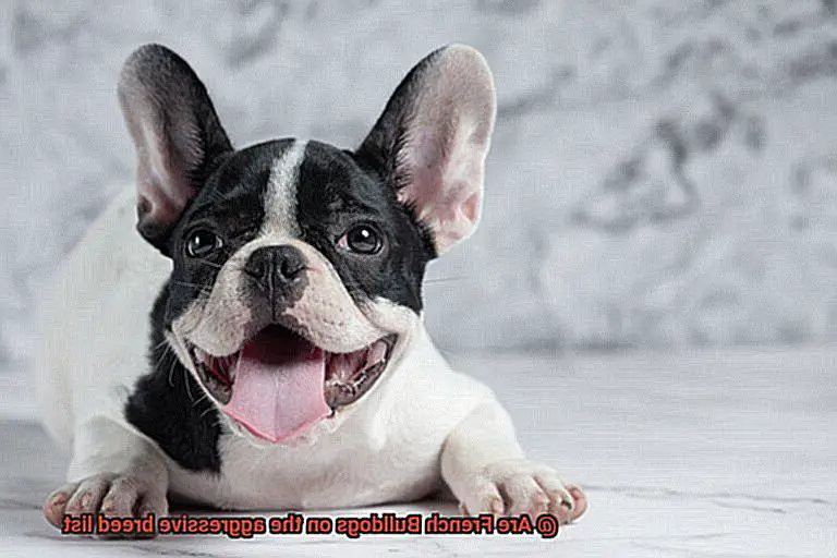 Are French Bulldogs on the aggressive breed list-7