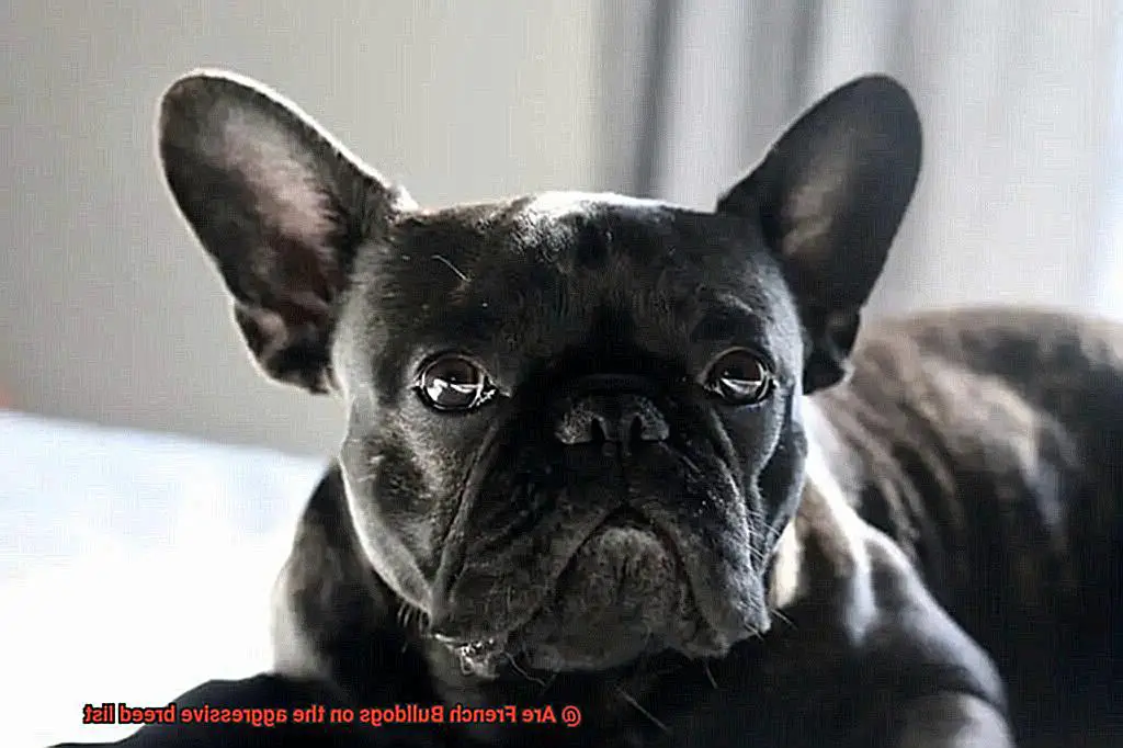 Are French Bulldogs on the aggressive breed list-8