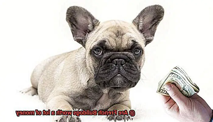 Are French Bulldogs worth a lot of money-3