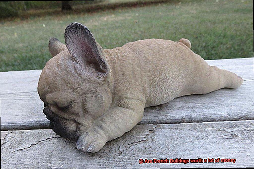 Are French Bulldogs worth a lot of money-2