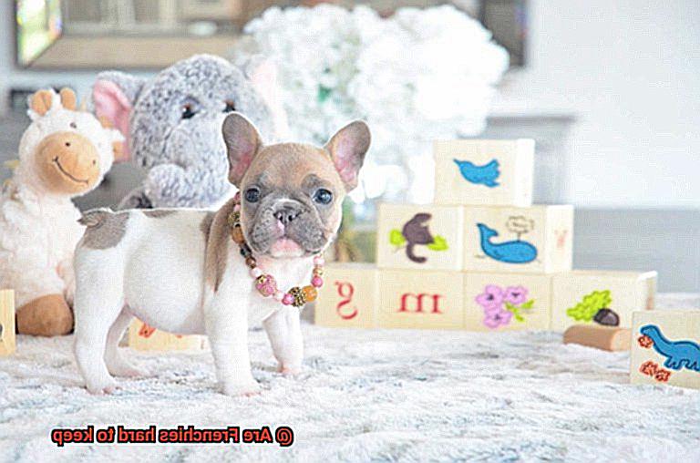 Are Frenchies hard to keep-2
