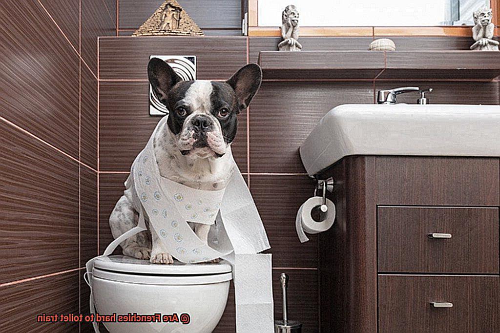 Are Frenchies hard to toilet train-3