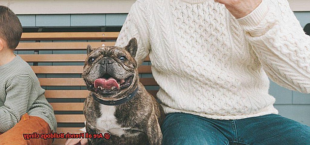 Are all French Bulldogs clingy-5