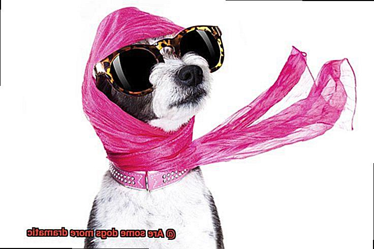 Are some dogs more dramatic-5