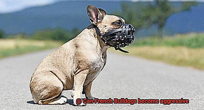 Can French Bulldogs become aggressive-2