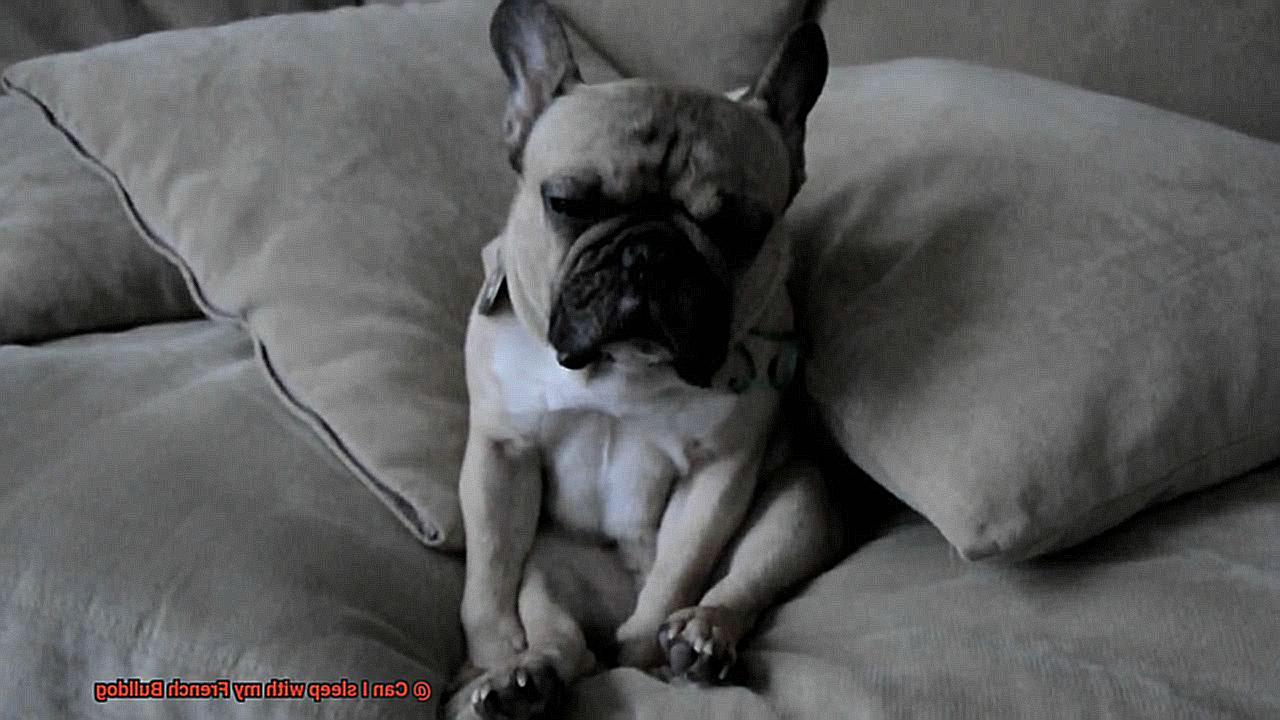 Can I sleep with my French Bulldog-3
