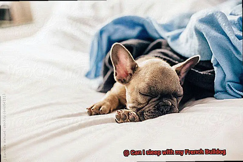 Can I sleep with my French Bulldog-5