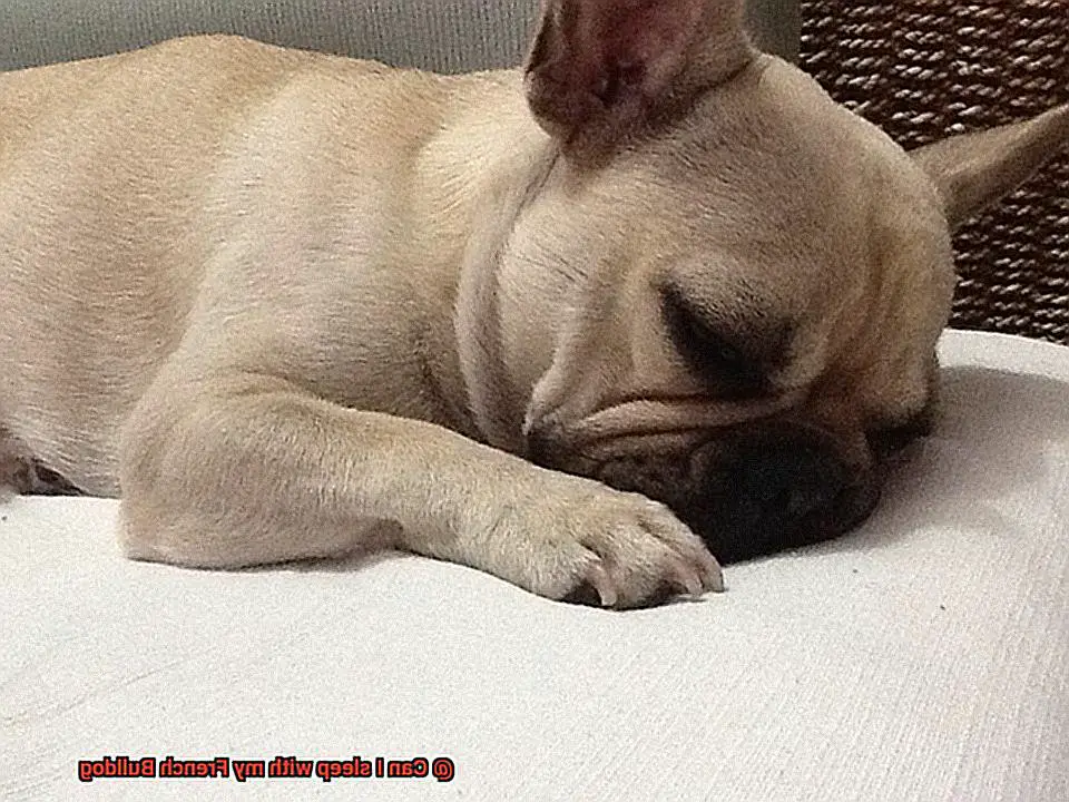 Can I sleep with my French Bulldog-2