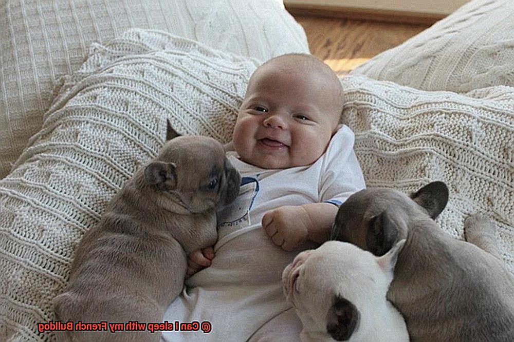 Can I sleep with my French Bulldog-4