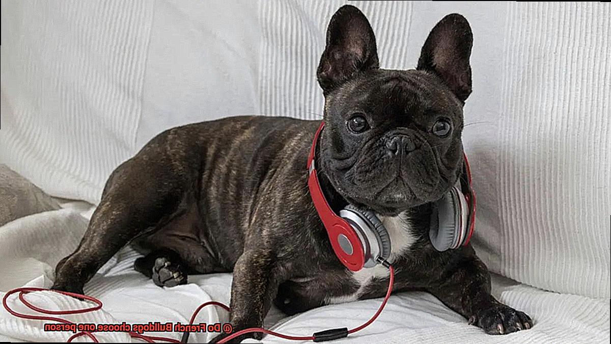 Do French Bulldogs choose one person-2