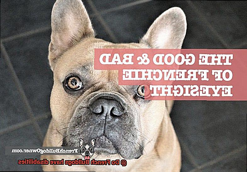 Do French Bulldogs have disabilities-4