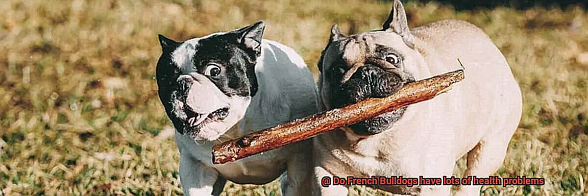 Do French Bulldogs have lots of health problems-15