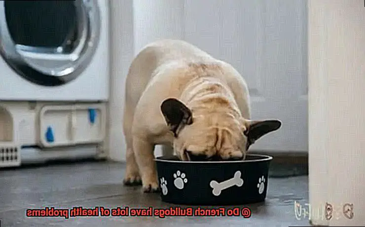 Do French Bulldogs have lots of health problems-5