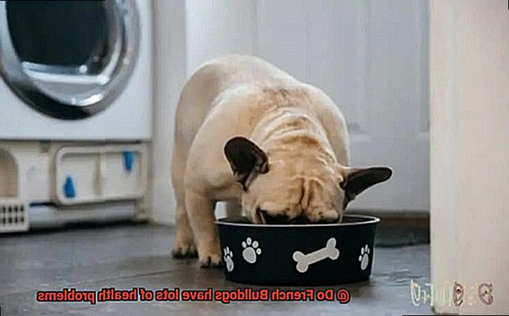 Do French Bulldogs have lots of health problems-5