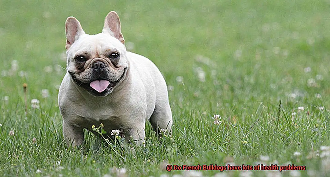 Do French Bulldogs have lots of health problems-14