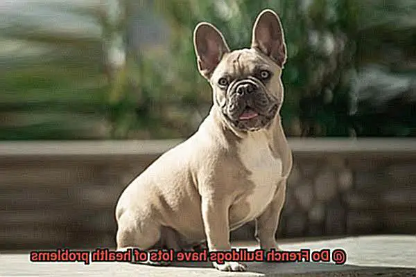 Do French Bulldogs have lots of health problems-13