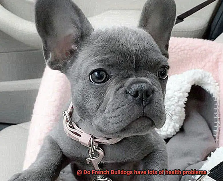 Do French Bulldogs have lots of health problems-9