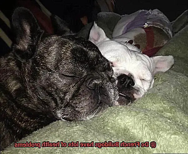 Do French Bulldogs have lots of health problems-11