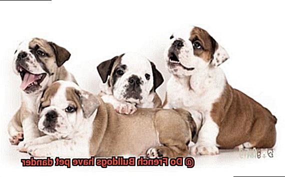 Do French Bulldogs have pet dander-7