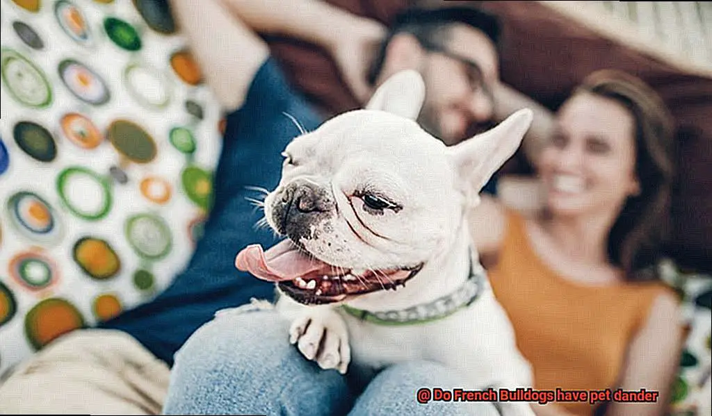 Do French Bulldogs have pet dander-6
