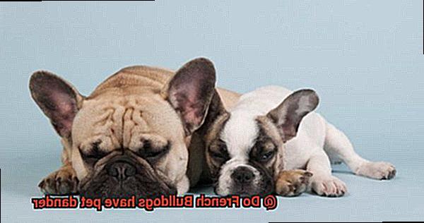 Do French Bulldogs have pet dander-8