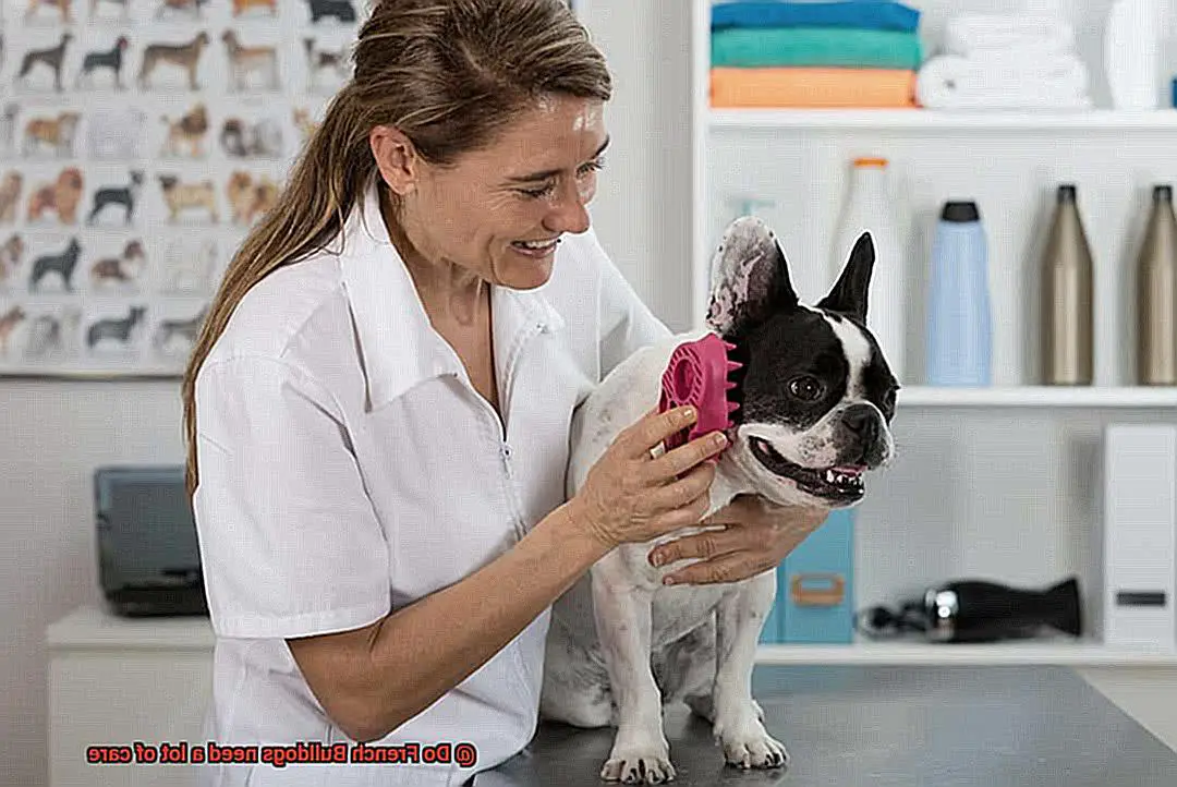 Do French Bulldogs need a lot of care-5