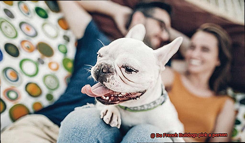 Do French Bulldogs pick a person-2