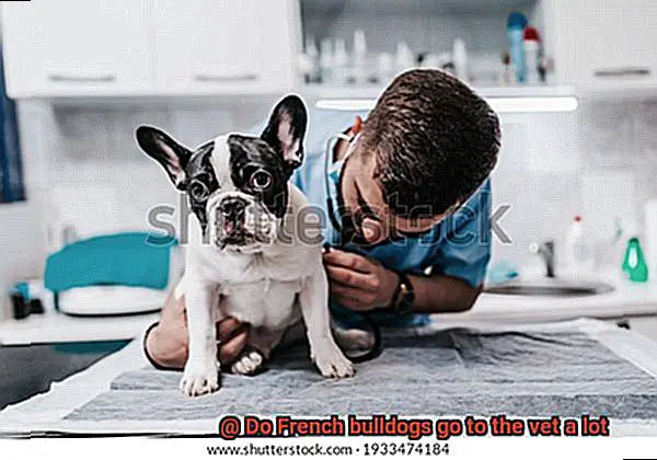 Do French bulldogs go to the vet a lot-6